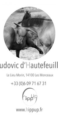 Hippup-ludovic-dhautefeuille
