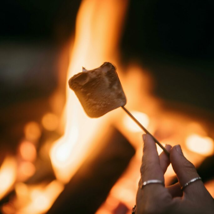 pexels-taryn-elliott-6861138 pexels-taryn-elliott-6861138